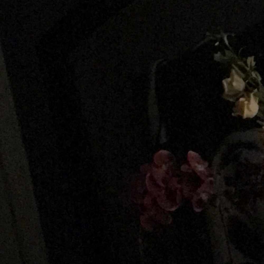 Meet your Posher, Anissa